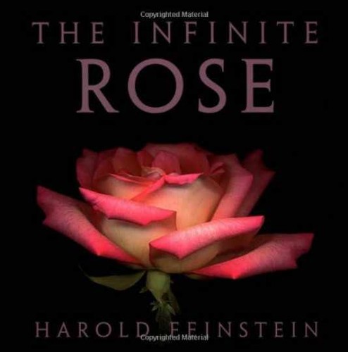 The infinite rose hardcover - the,