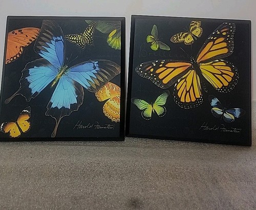 Butterfies wall hanging - butterfies,