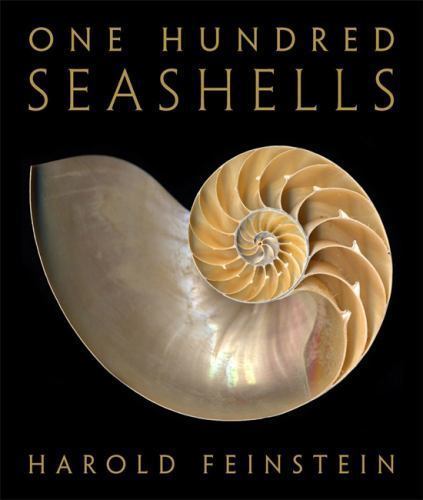 One hundred seashells - hundred,