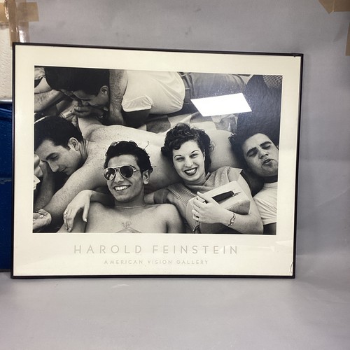 Harold feinstein teenagers - harold,